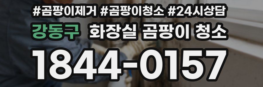 강동구 화장실 곰팡이 청소