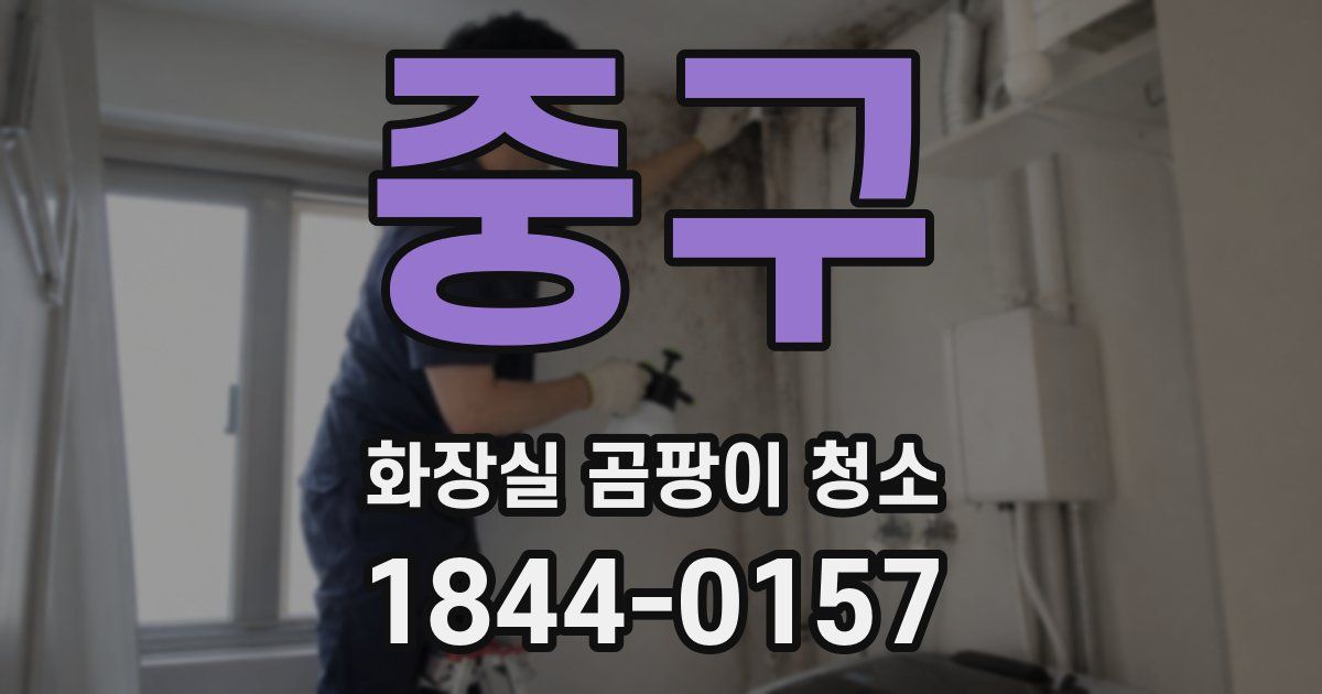중구 화장실 곰팡이 청소