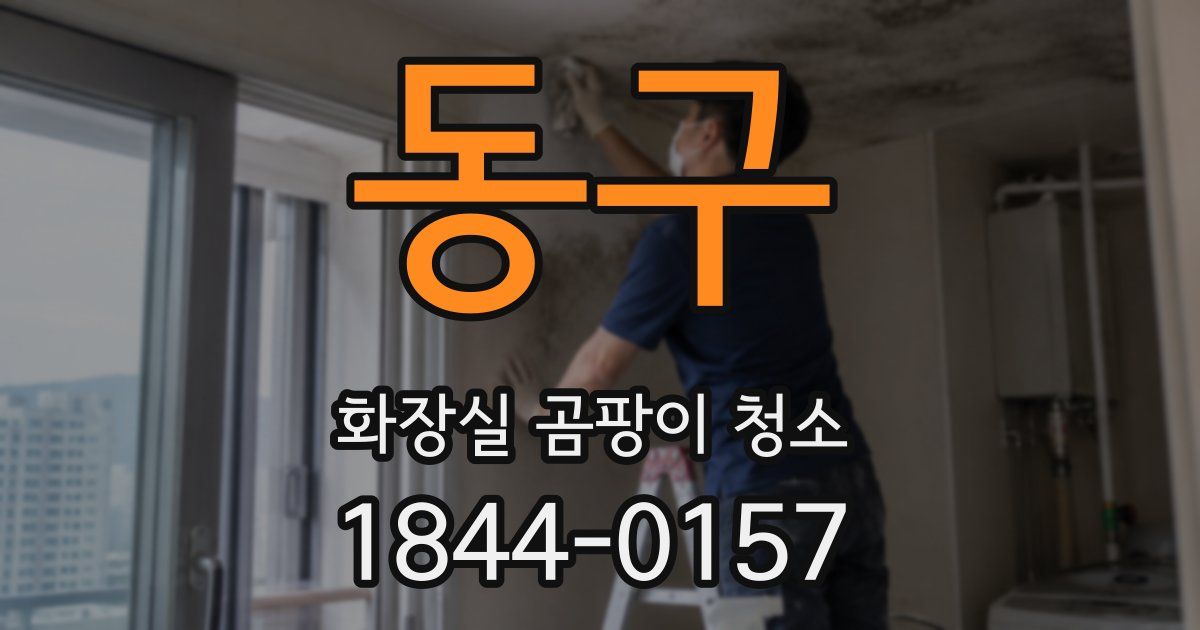동구 화장실 곰팡이 청소