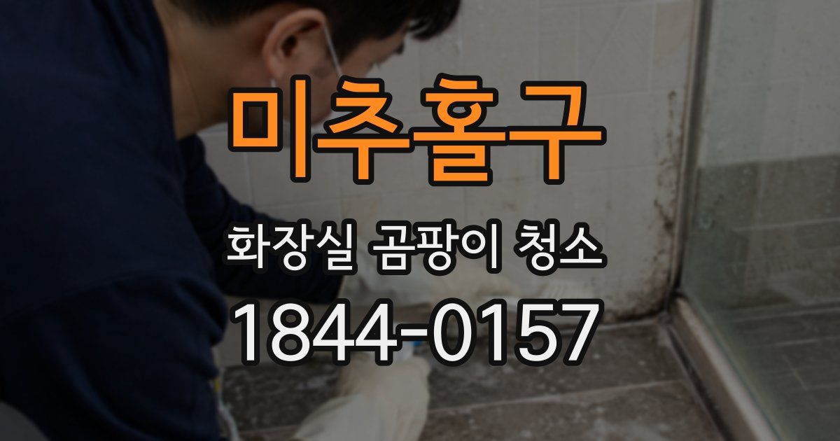 미추홀구 화장실 곰팡이 청소