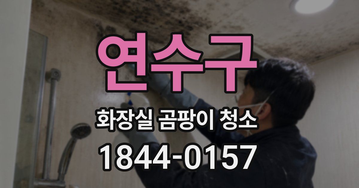 연수구 화장실 곰팡이 청소