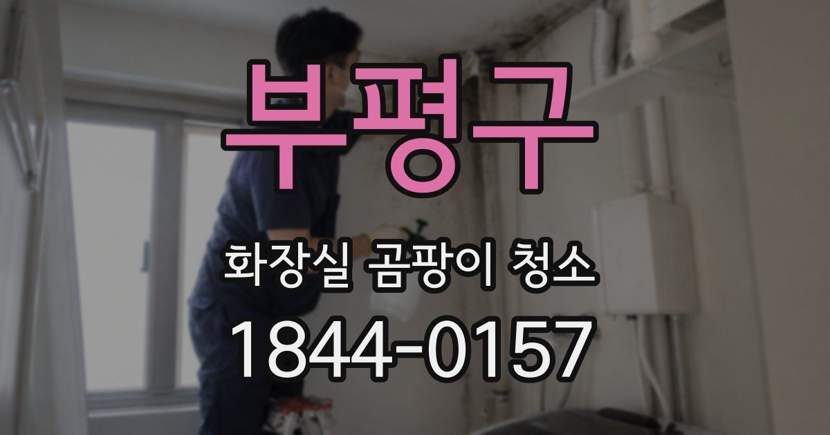 부평구 화장실 곰팡이 청소