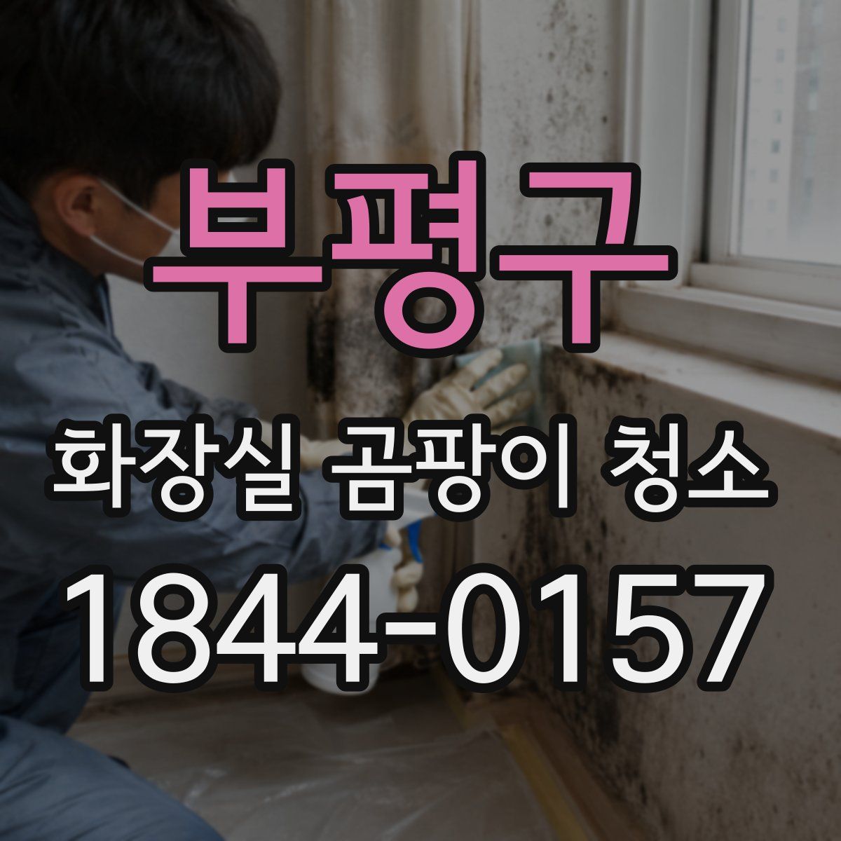 부평구 화장실 곰팡이 청소