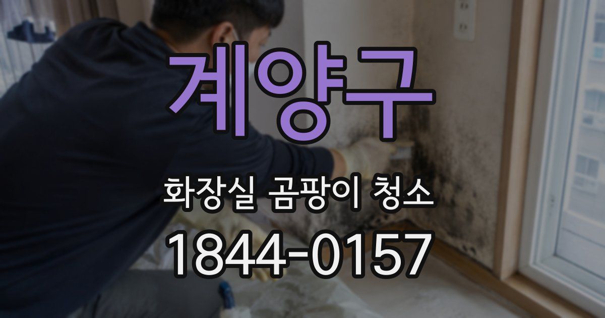 계양구 화장실 곰팡이 청소