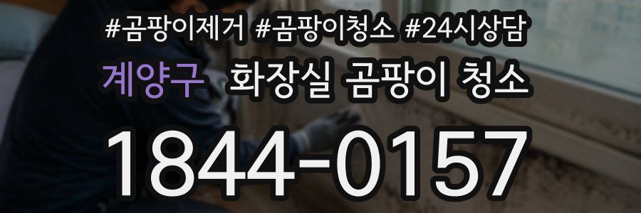 계양구 화장실 곰팡이 청소
