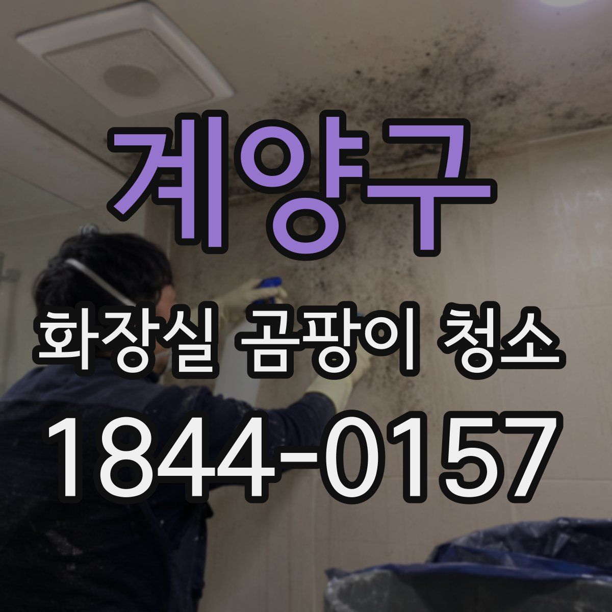 계양구 화장실 곰팡이 청소
