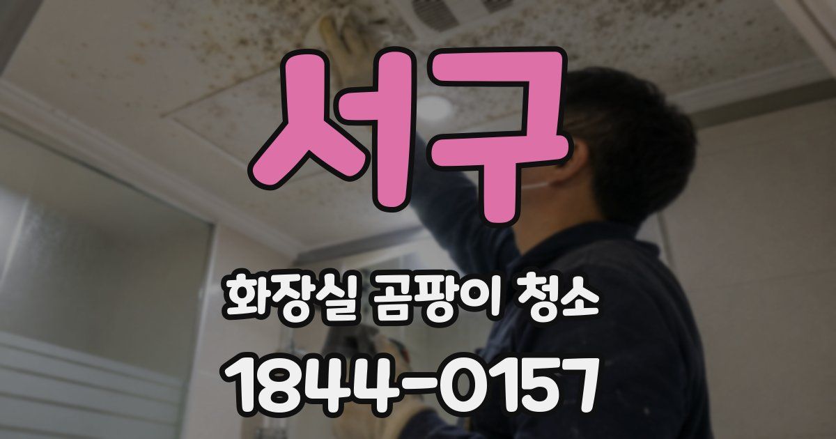 서구 화장실 곰팡이 청소