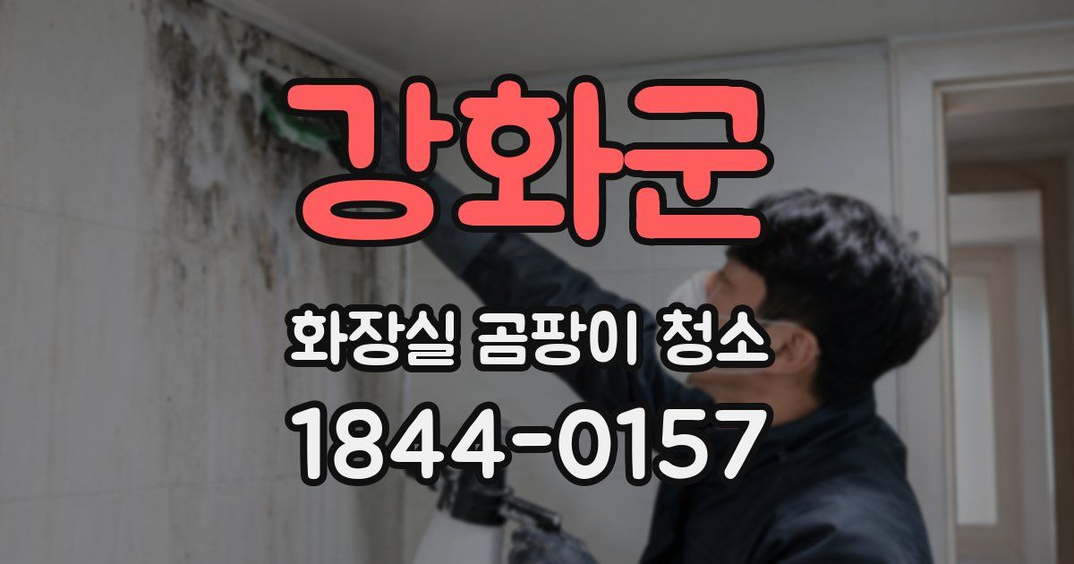 강화군 화장실 곰팡이 청소