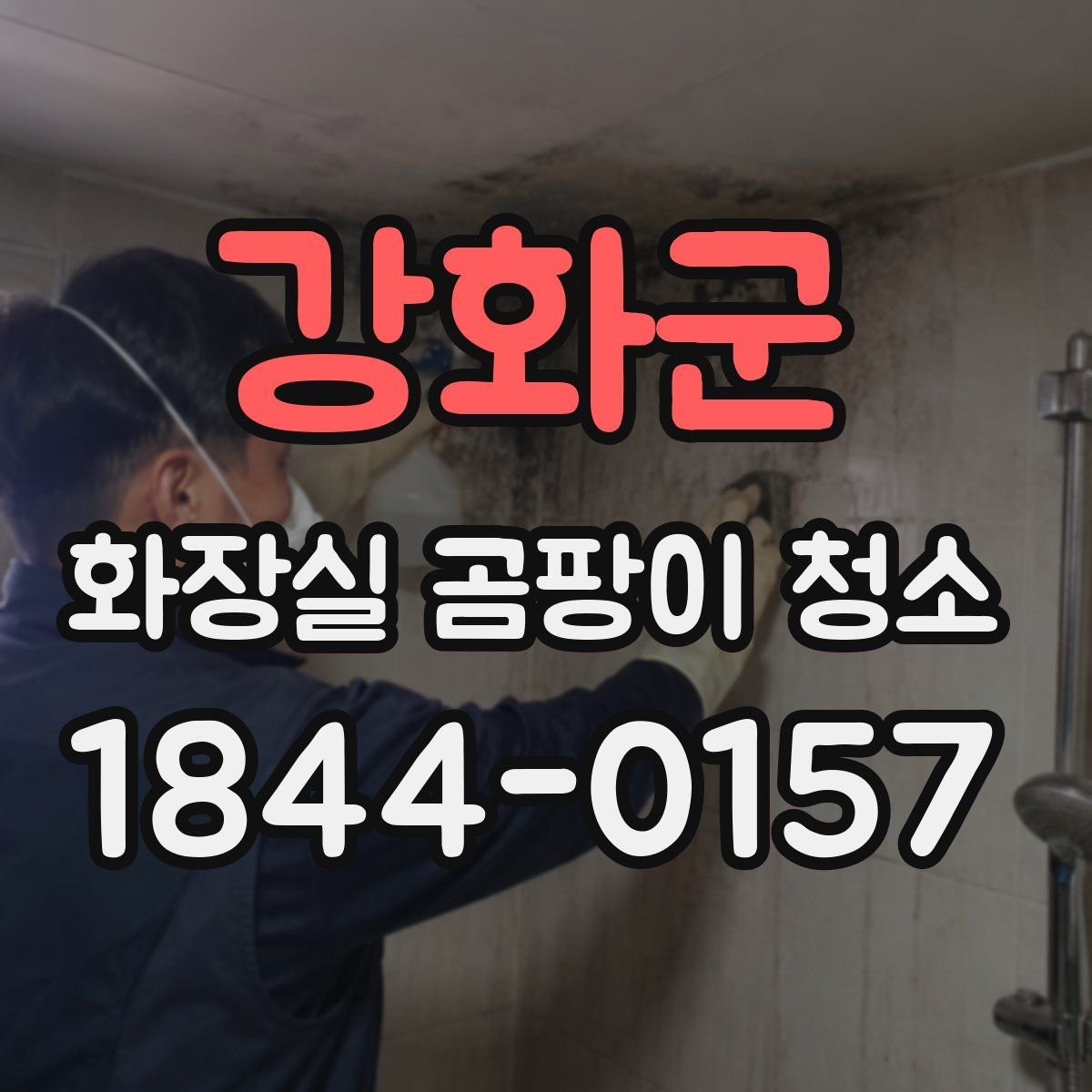 강화군 화장실 곰팡이 청소