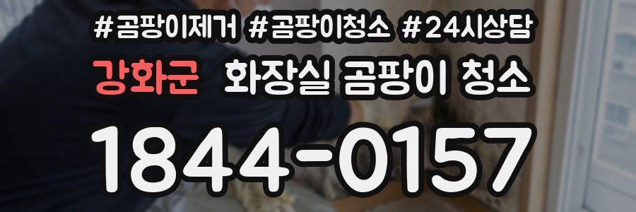 강화군 화장실 곰팡이 청소