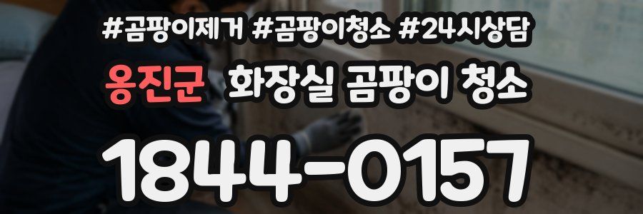 옹진군 화장실 곰팡이 청소