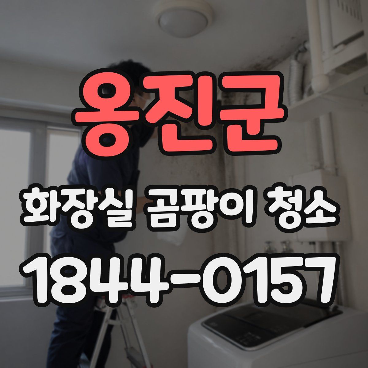 옹진군 화장실 곰팡이 청소