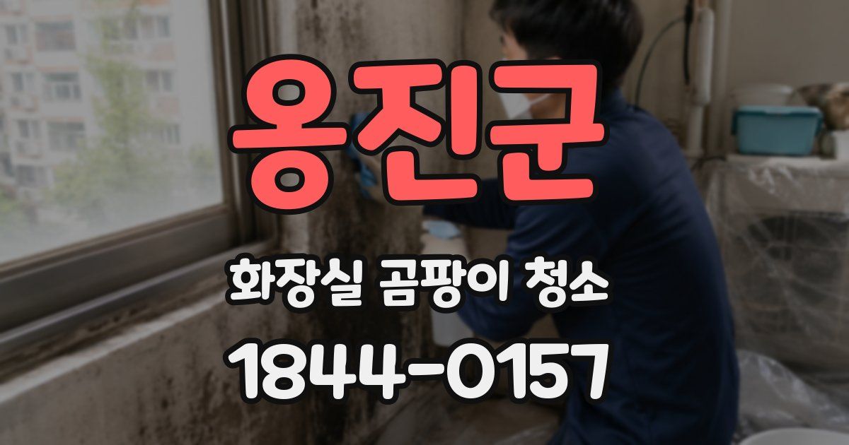 옹진군 화장실 곰팡이 청소