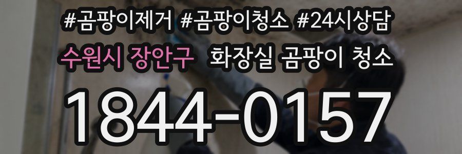 수원시 장안구 화장실 곰팡이 청소