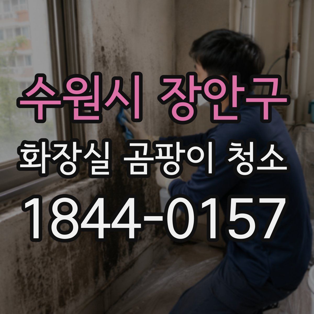 수원시 장안구 화장실 곰팡이 청소