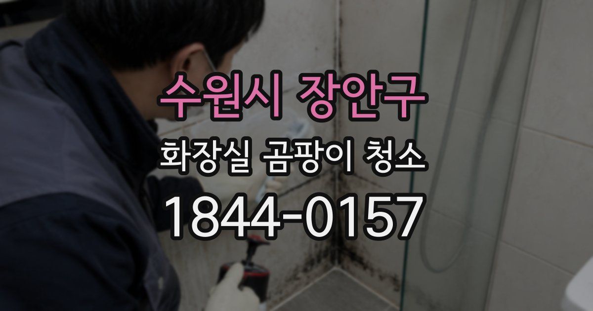 수원시 장안구 화장실 곰팡이 청소