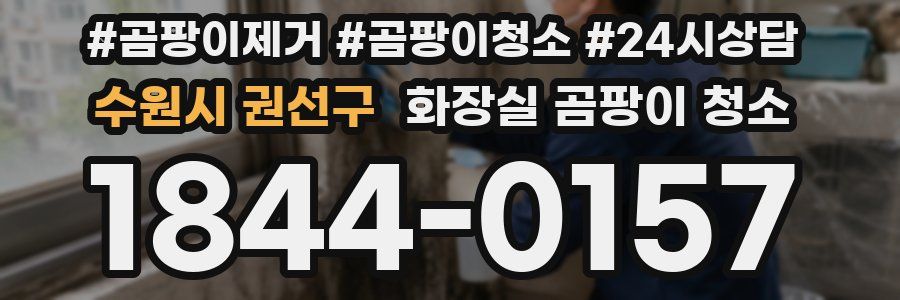 수원시 권선구 화장실 곰팡이 청소