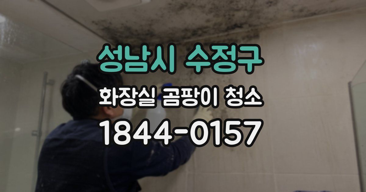 성남시 수정구 화장실 곰팡이 청소