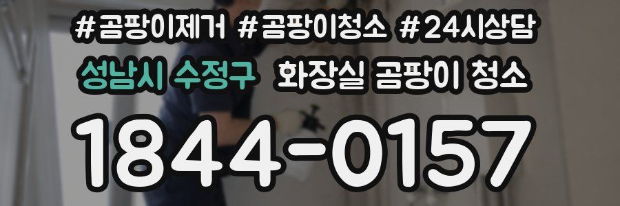 성남시 수정구 화장실 곰팡이 청소