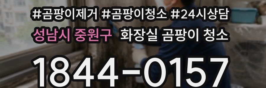 성남시 중원구 화장실 곰팡이 청소