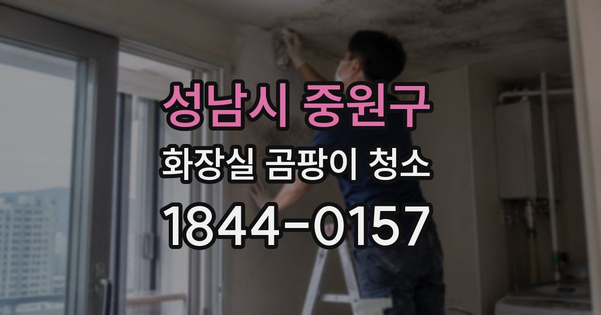 성남시 중원구 화장실 곰팡이 청소