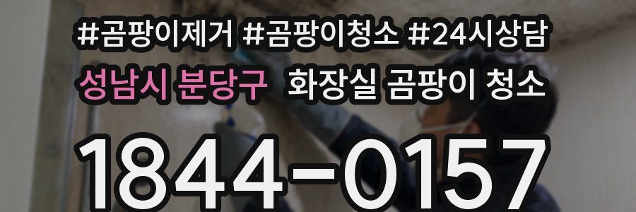 성남시 분당구 화장실 곰팡이 청소