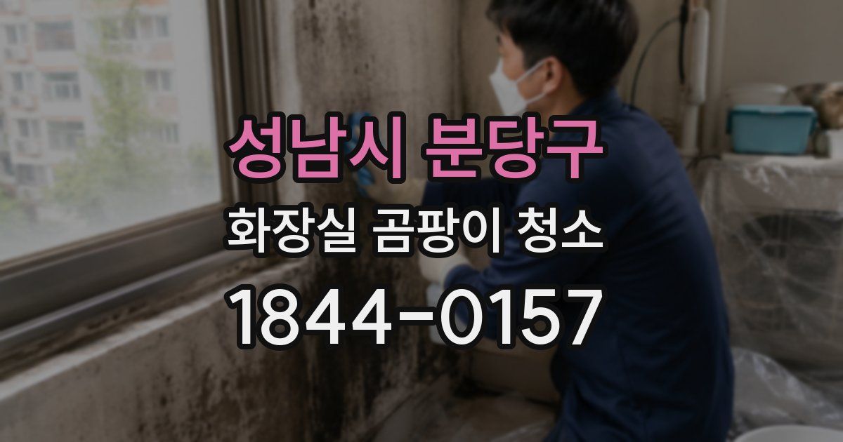 성남시 분당구 화장실 곰팡이 청소