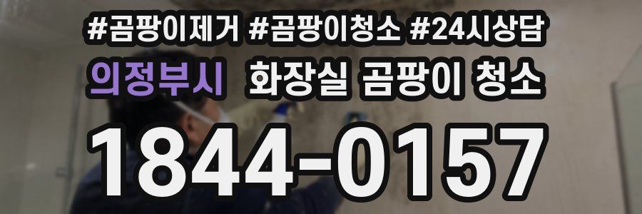 의정부시 화장실 곰팡이 청소
