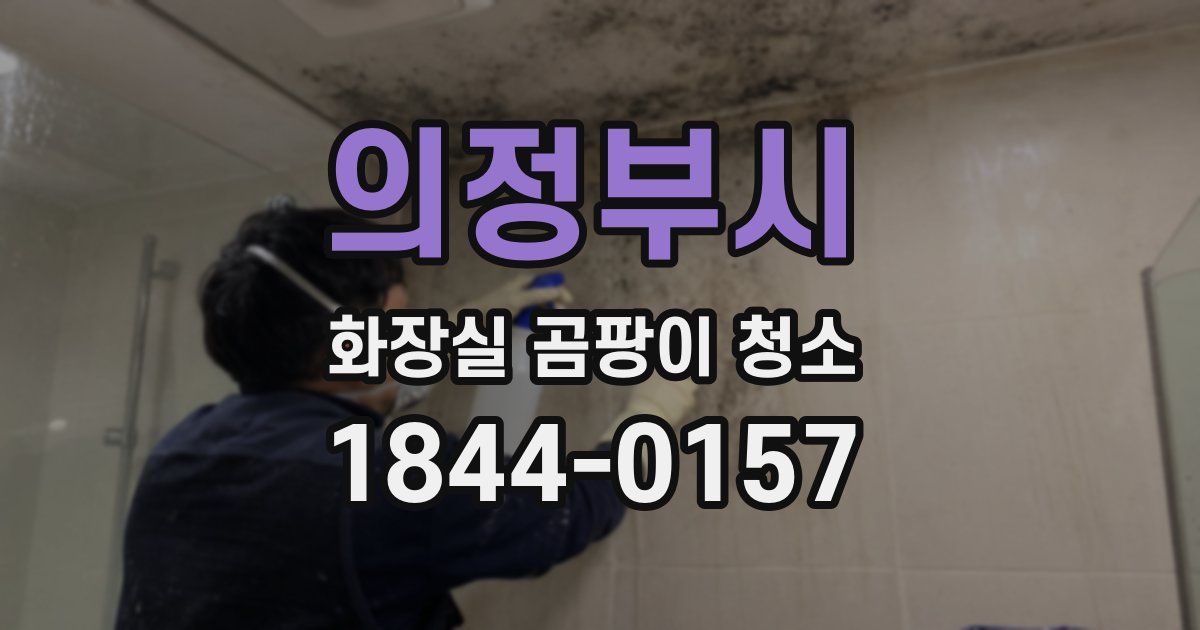 의정부시 화장실 곰팡이 청소