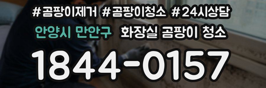 안양시 만안구 화장실 곰팡이 청소