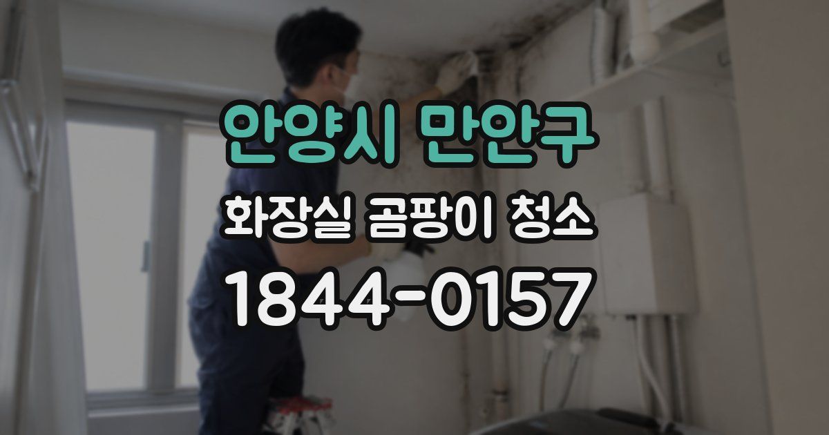 안양시 만안구 화장실 곰팡이 청소