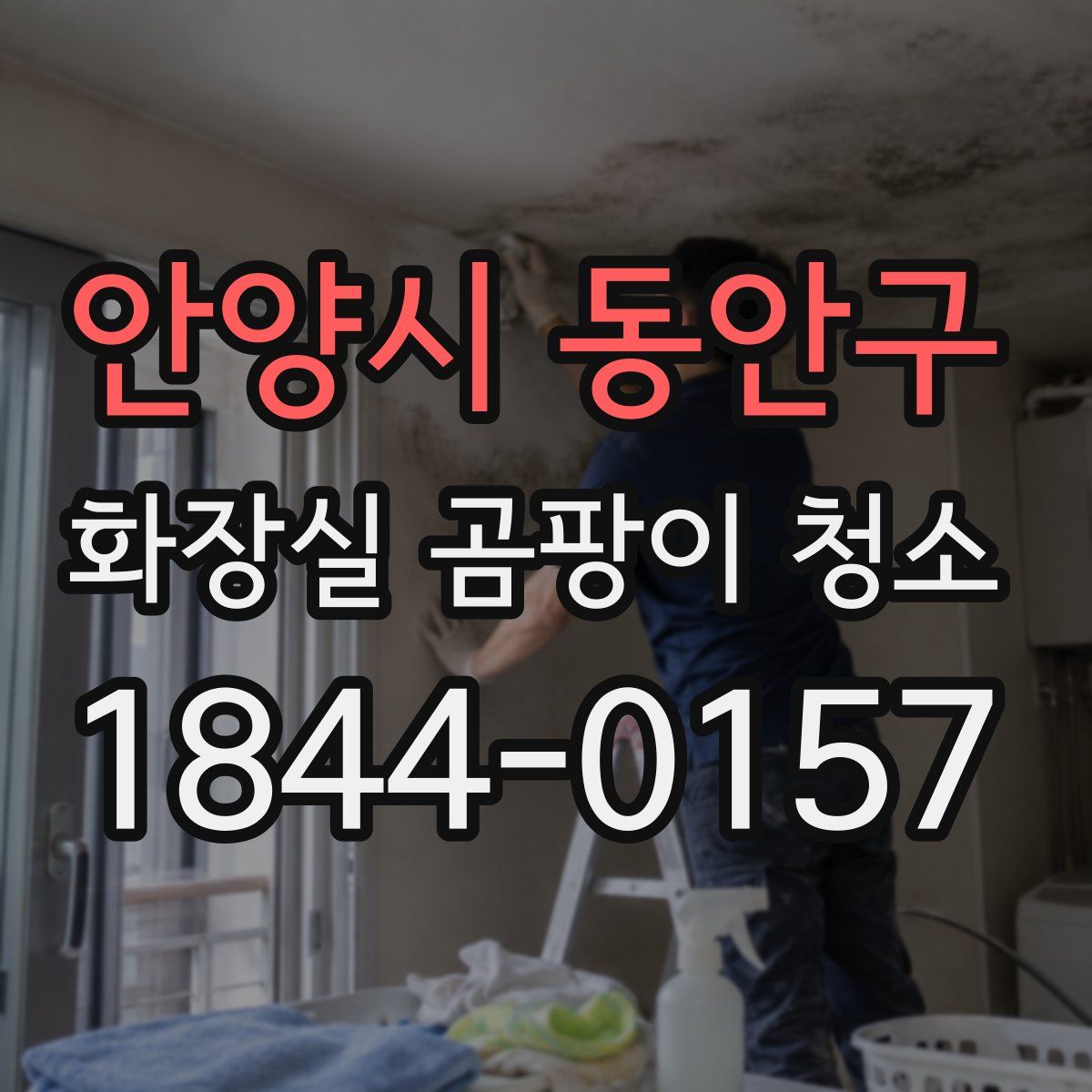안양시 동안구 화장실 곰팡이 청소