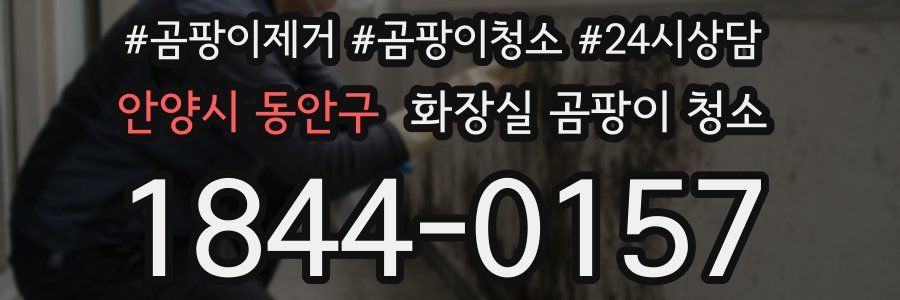 안양시 동안구 화장실 곰팡이 청소