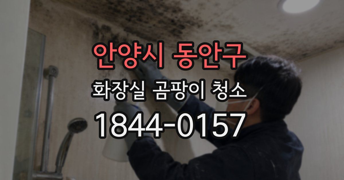 안양시 동안구 화장실 곰팡이 청소