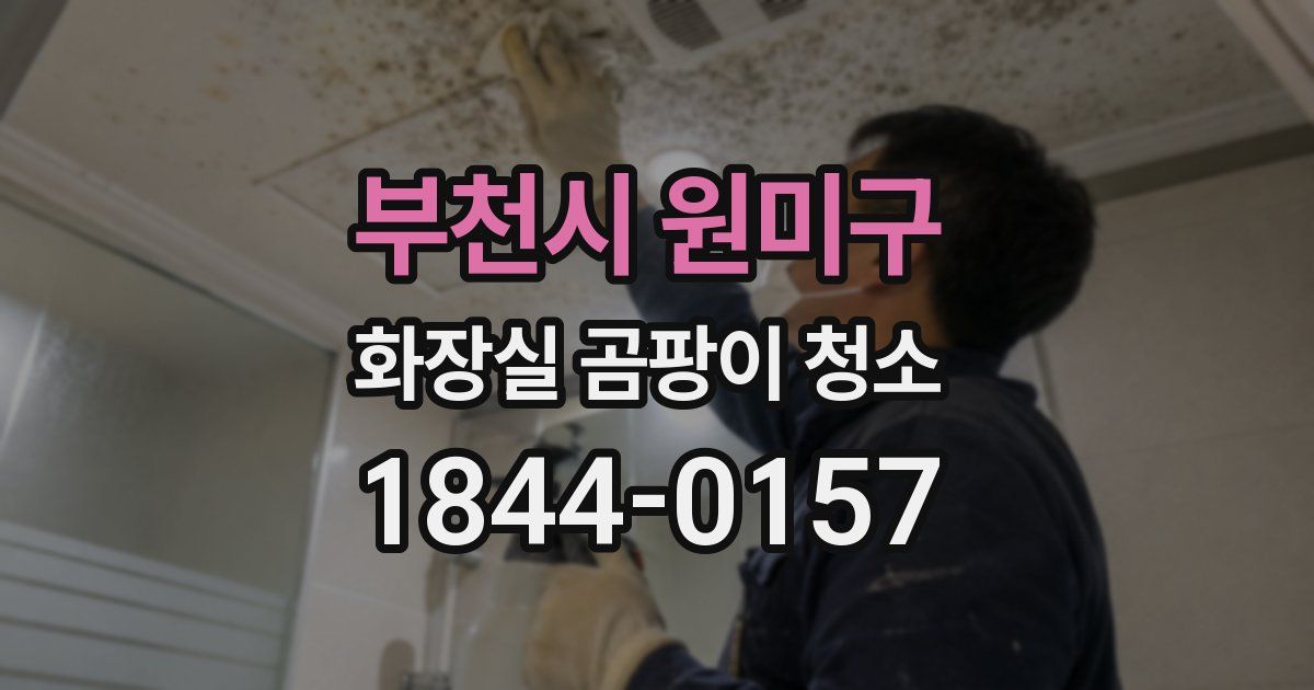 부천시 원미구 화장실 곰팡이 청소