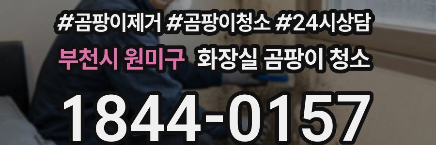 부천시 원미구 화장실 곰팡이 청소