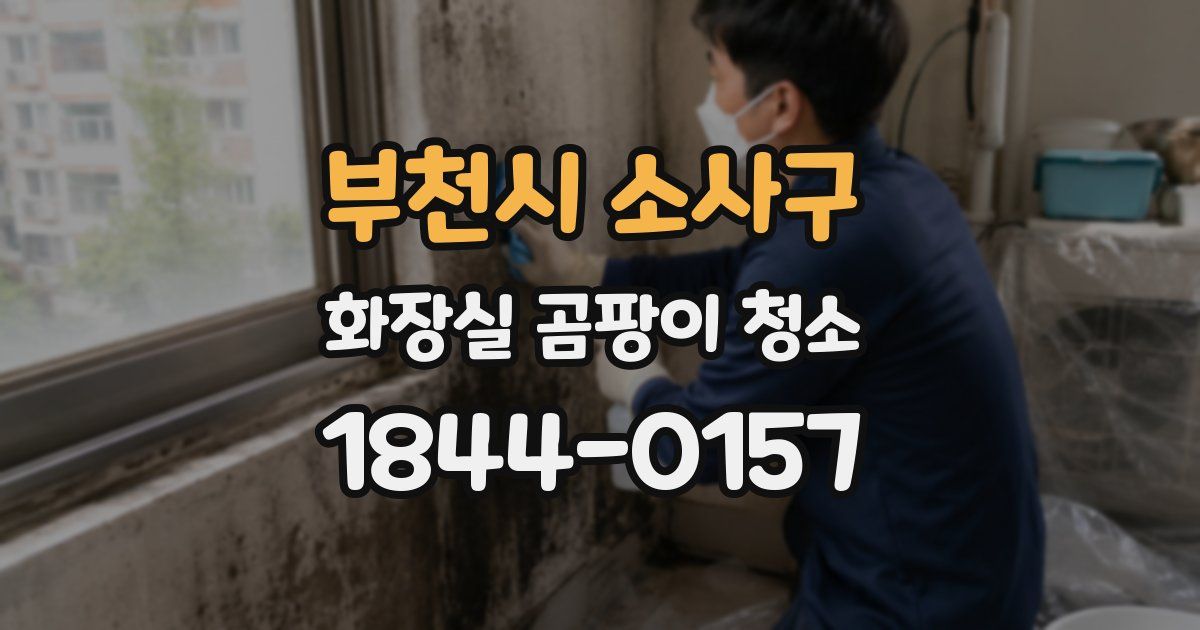 부천시 소사구 화장실 곰팡이 청소