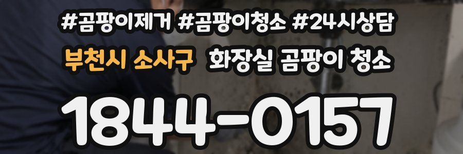 부천시 소사구 화장실 곰팡이 청소