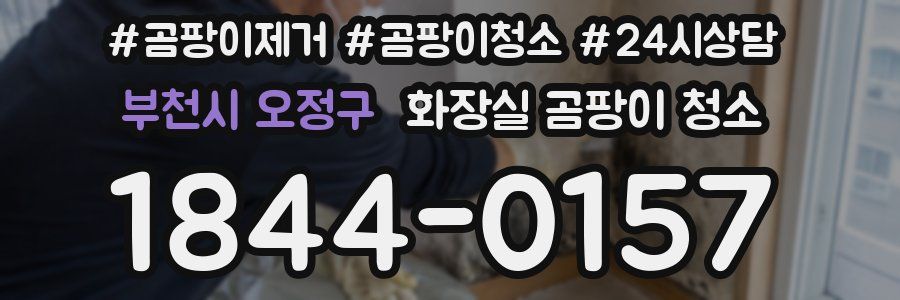 부천시 오정구 화장실 곰팡이 청소