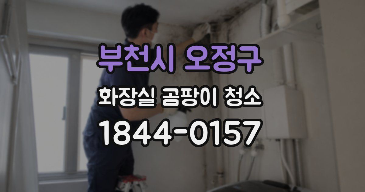 부천시 오정구 화장실 곰팡이 청소