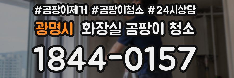 광명시 화장실 곰팡이 청소