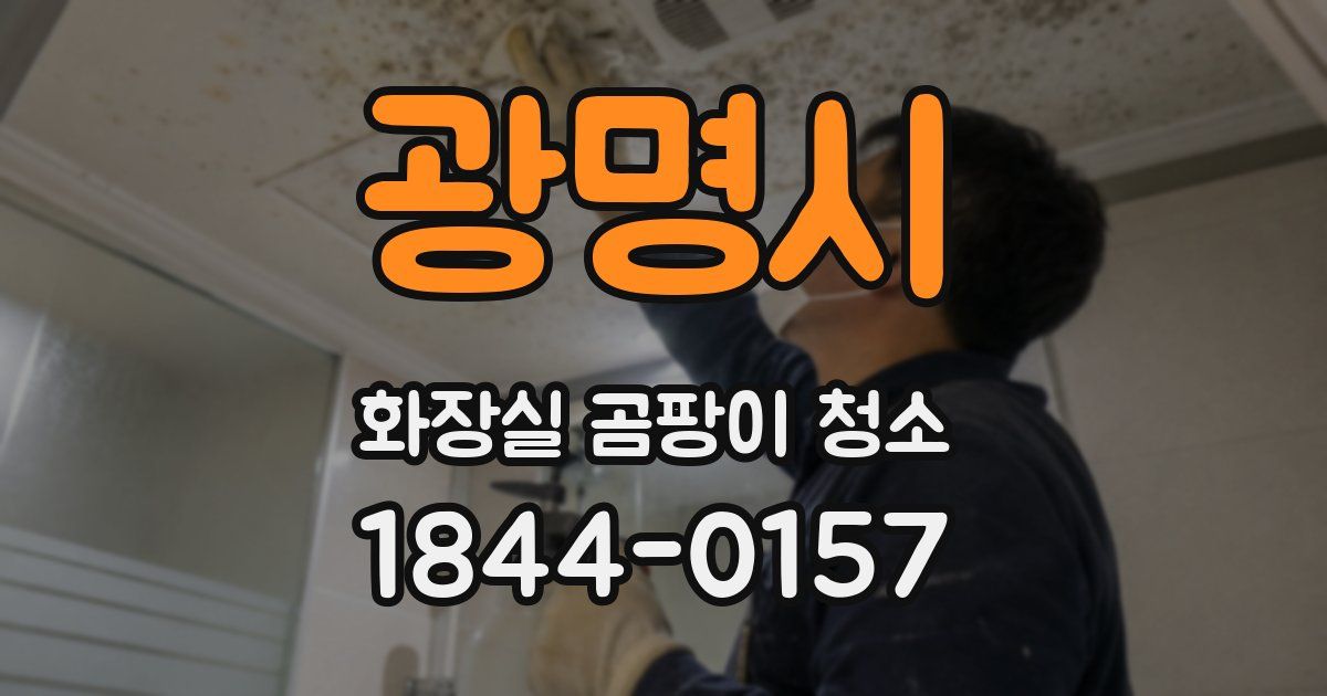 광명시 화장실 곰팡이 청소