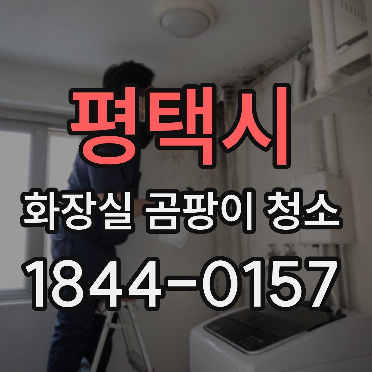 평택시 화장실 곰팡이 청소