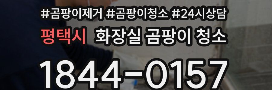 평택시 화장실 곰팡이 청소