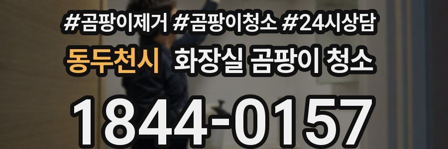 동두천시 화장실 곰팡이 청소