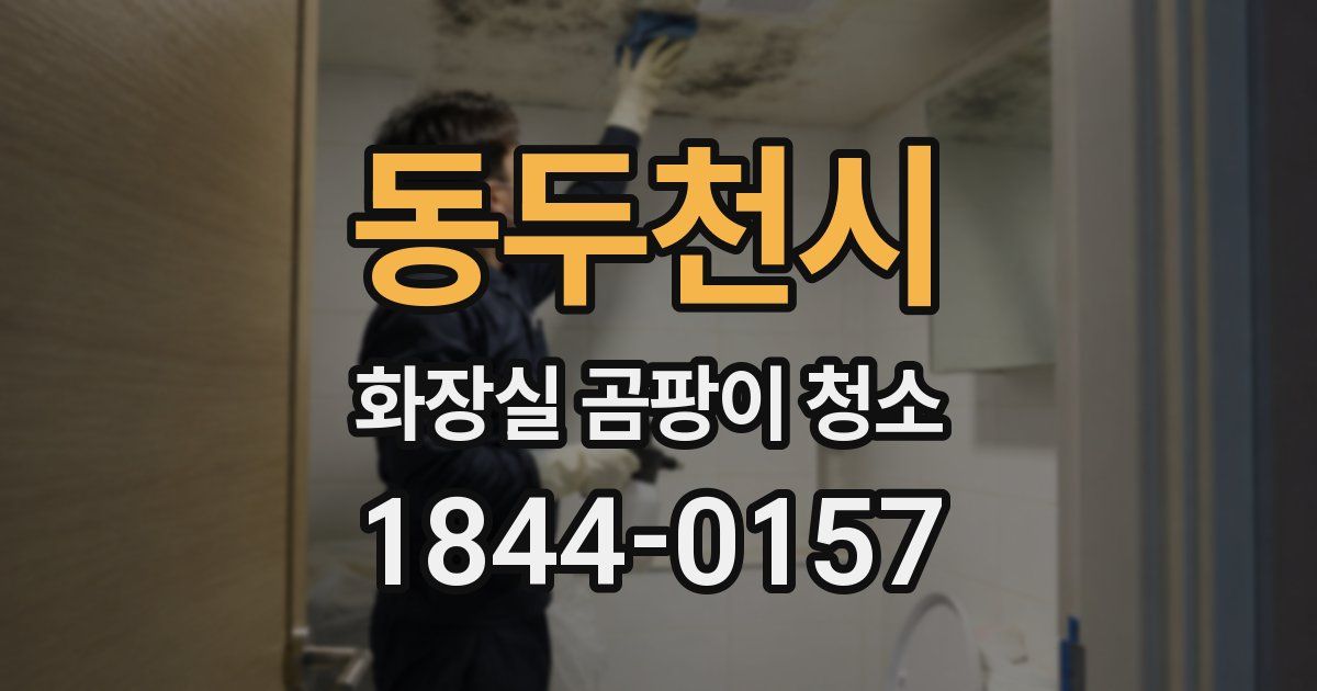 동두천시 화장실 곰팡이 청소