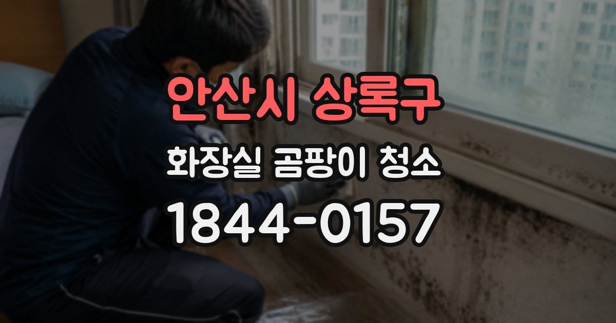 안산시 상록구 화장실 곰팡이 청소