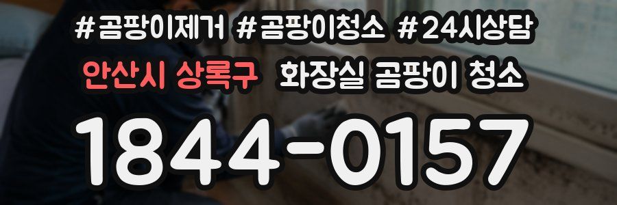 안산시 상록구 화장실 곰팡이 청소