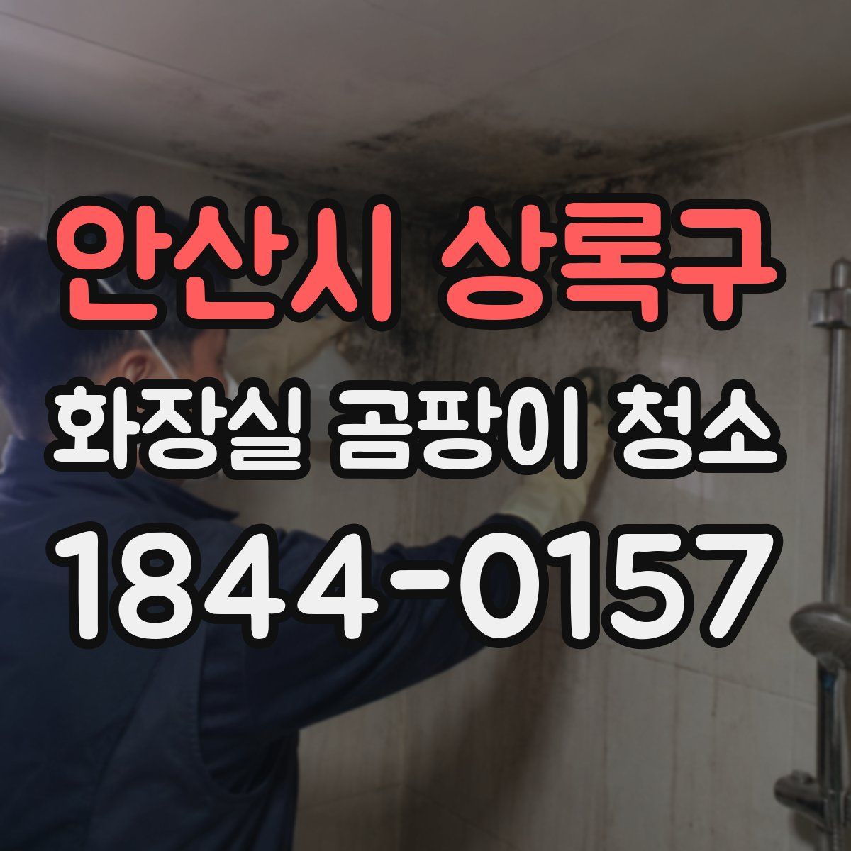 안산시 상록구 화장실 곰팡이 청소