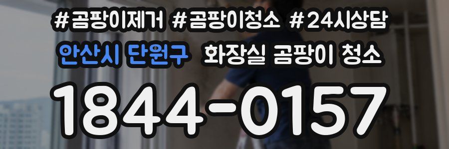 안산시 단원구 화장실 곰팡이 청소